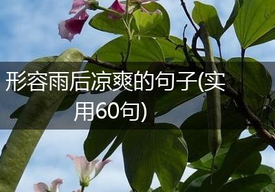 形容雨后凉爽的句子(实用60句)