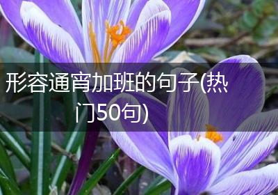形容通宵加班的句子(热门50句)