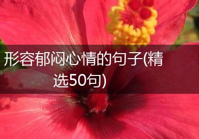 形容郁闷心情的句子(精选50句)