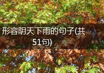 形容阴天下雨的句子(共51句)