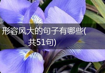 形容风大的句子有哪些(共51句)