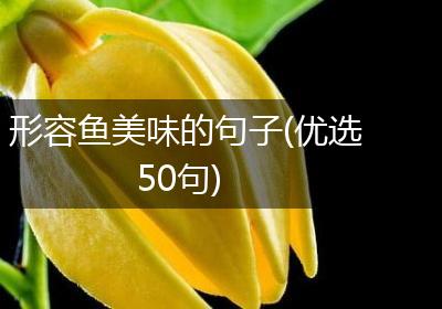 形容鱼美味的句子(优选50句)