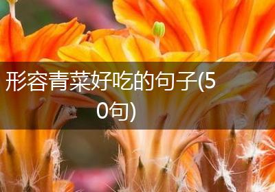 形容青菜好吃的句子(50句)