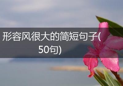形容风很大的简短句子(50句)