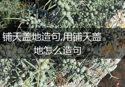 铺天盖地造句,用铺天盖地怎么造句