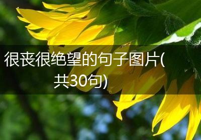 很丧很绝望的句子图片(共30句)
