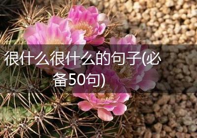 很什么很什么的句子(必备50句)