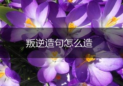 叛逆造句怎么造
