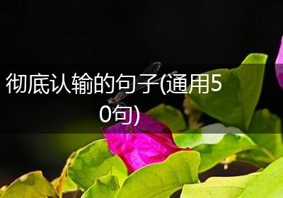 彻底认输的句子(通用50句)