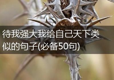 待我强大我给自己天下类似的句子(必备50句)