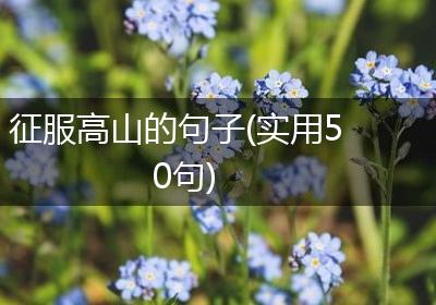 征服高山的句子(实用50句)
