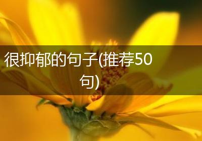 很抑郁的句子(推荐50句)