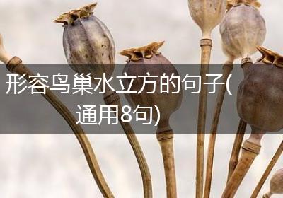 形容鸟巢水立方的句子(通用8句)
