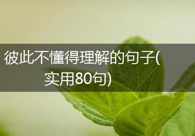 彼此不懂得理解的句子(实用80句)