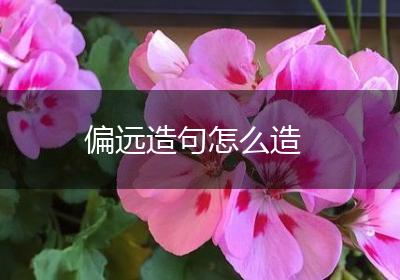 偏远造句怎么造