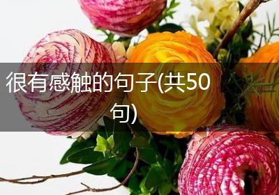 很有感触的句子(共50句)