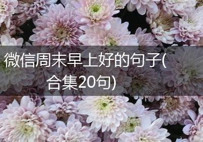 微信周末早上好的句子(合集20句)