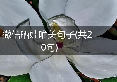 微信晒娃唯美句子(共20句)