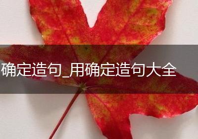 确定造句_用确定造句大全