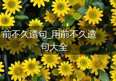 前不久造句_用前不久造句大全