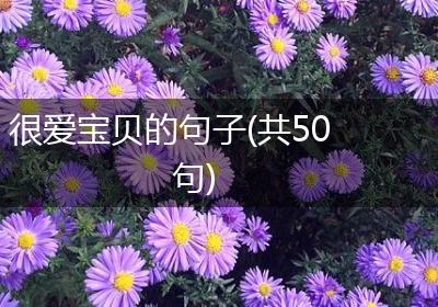 很爱宝贝的句子(共50句)