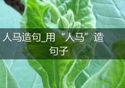 人马造句_用“人马”造句子