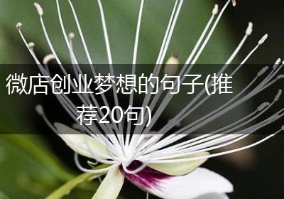 微店创业梦想的句子(推荐20句)