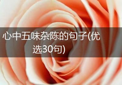 心中五味杂陈的句子(优选30句)