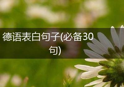 德语表白句子(必备30句)