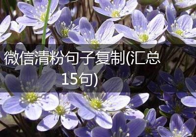 微信清粉句子复制(汇总15句)