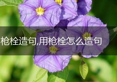 枪栓造句,用枪栓怎么造句