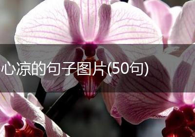 心凉的句子图片(50句)