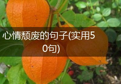 心情颓废的句子(实用50句)