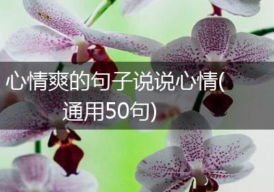 心情爽的句子说说心情(通用50句)