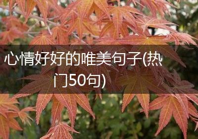 心情好好的唯美句子(热门50句)