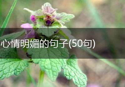 心情明媚的句子(50句)