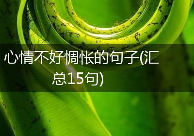 心情不好惆怅的句子(汇总15句)