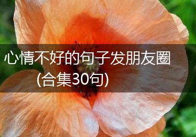 心情不好的句子发朋友圈(合集30句)
