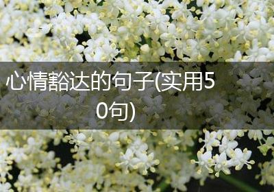 心情豁达的句子(实用50句)