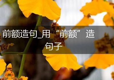 前额造句_用“前额”造句子
