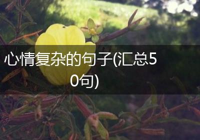 心情复杂的句子(汇总50句)