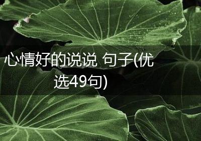 心情好的说说 句子(优选49句)