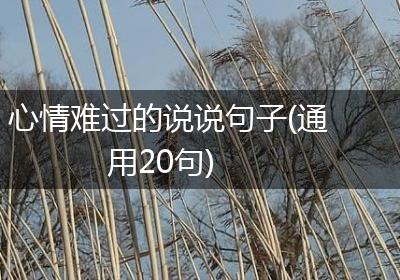 心情难过的说说句子(通用20句)