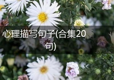 心理描写句子(合集20句)
