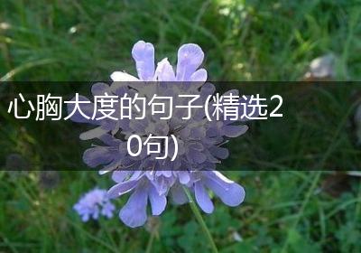 心胸大度的句子(精选20句)