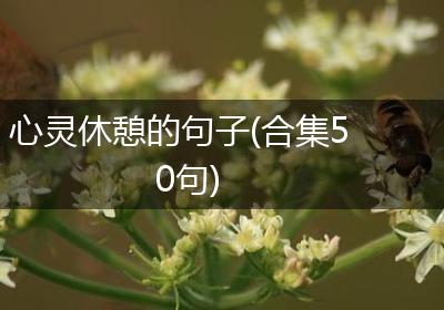 心灵休憩的句子(合集50句)