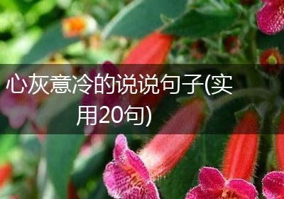 心灰意冷的说说句子(实用20句)