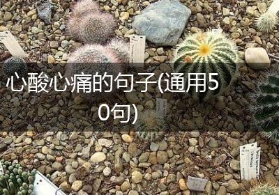 心酸心痛的句子(通用50句)