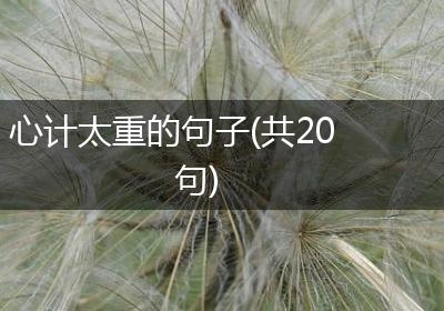心计太重的句子(共20句)
