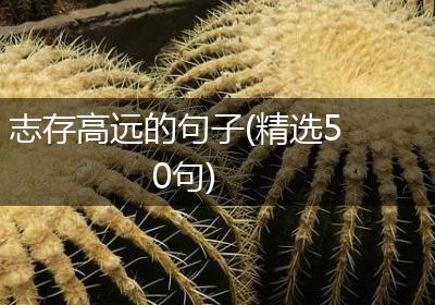 志存高远的句子(精选50句)